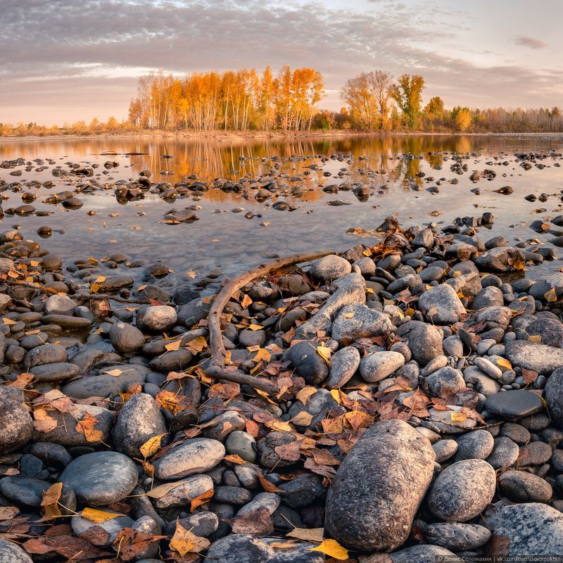 #landscape #light #yellow #autumn #altai #russia #siberia #river #nikon #nikond750 #katun #moon #gold #night #moonlight #пейзаж #свет #желтый #осень #алтай #россия #река #никон #riverside #берегреки Осень на Нижней Катуниphoto preview