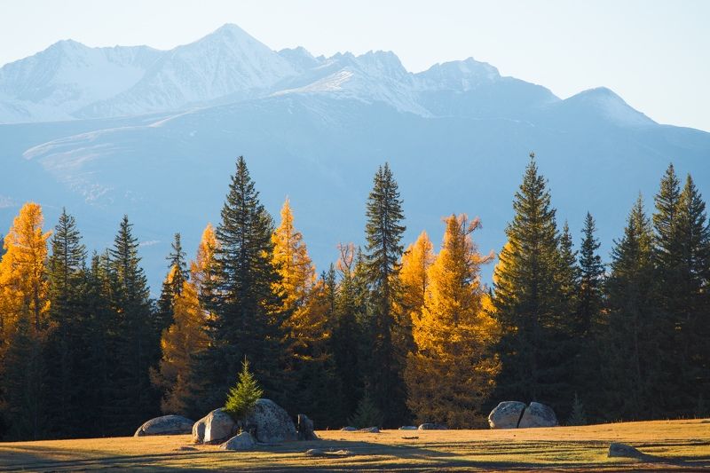Алтай, горы, россия Неизведанный Алтай. Долина Аргута фото превью