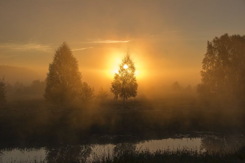 рассвеи туман солце лучи краски золотой рассветphoto preview
