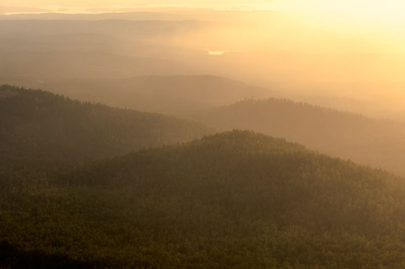 природа, лес, гора, дерево, пейзаж, туман, пейзажи, на открытом воздухе, холм, закат солнца, осень, утро, туман, рассвет, красота в природе, восход-рассвет, сельская сцена, солнечный свет, сезон, небо Утроphoto preview