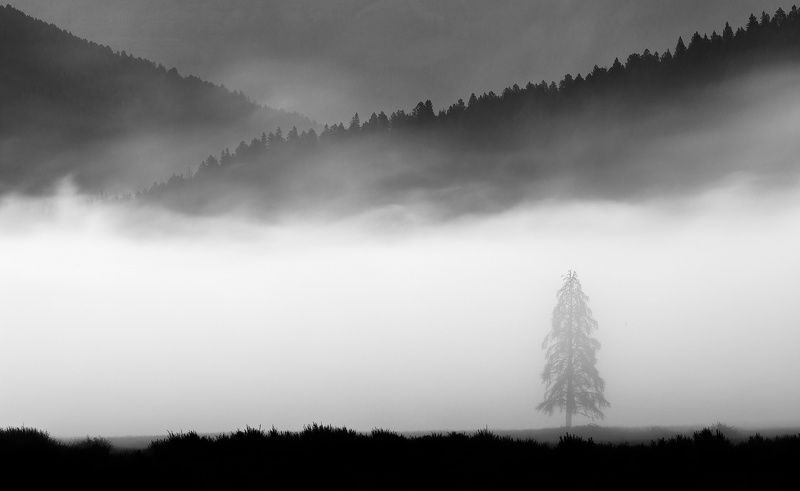 Foggy Anglesphoto preview