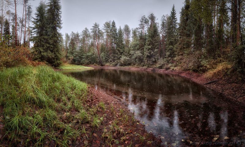 последняя зелень...photo preview