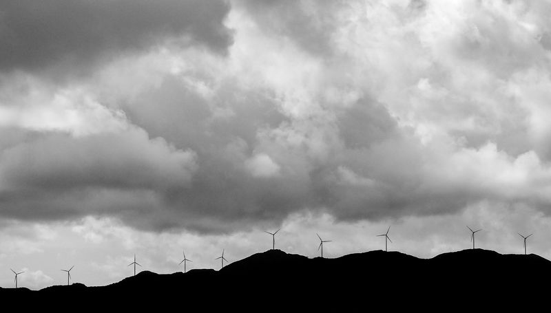 On The Hillphoto preview