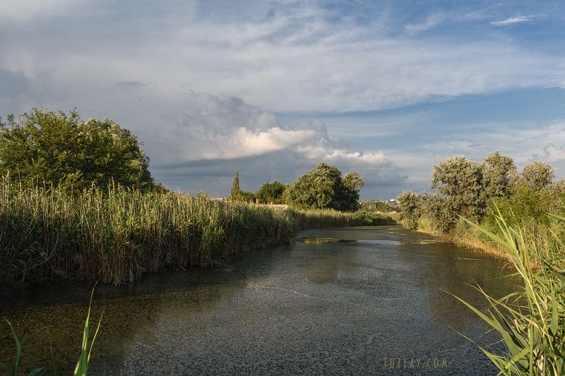 темрюк, таманский полуостров, земля таманская, камыши, водоём Где то в камышах... #4 фото превью