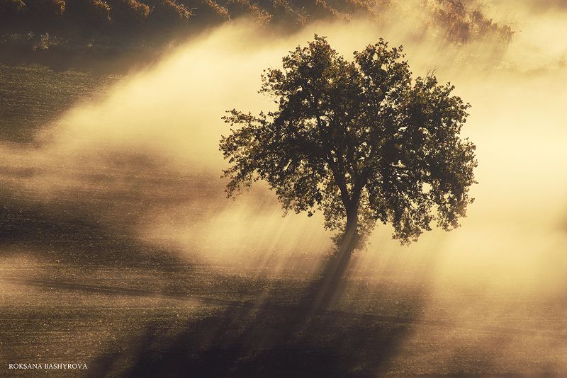 Tuscany sunrisephoto preview