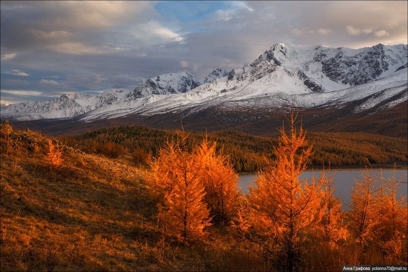 алтай,  горы, горный, алтай, северо-чуйский, хребет,  закат,  #красиваяосень2018 Тепло осеннего закатаphoto preview