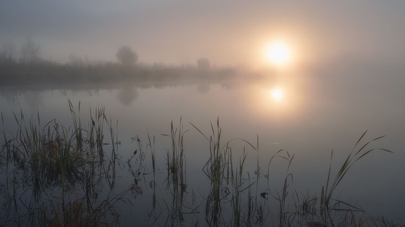 утро, озеро,туман,солнце,болотная трава ,рогоз,morning, lake, fog, sun, marsh grass, cattail ***photo preview