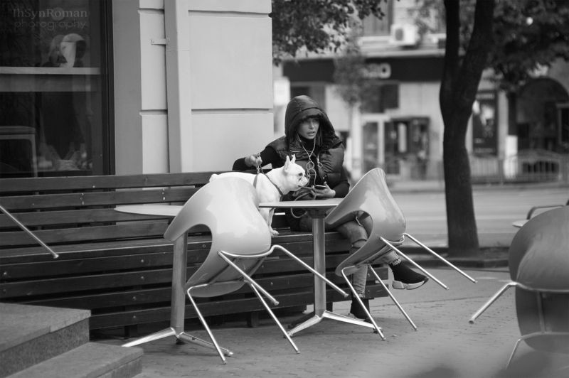 город,улица,человек,собака ***photo preview