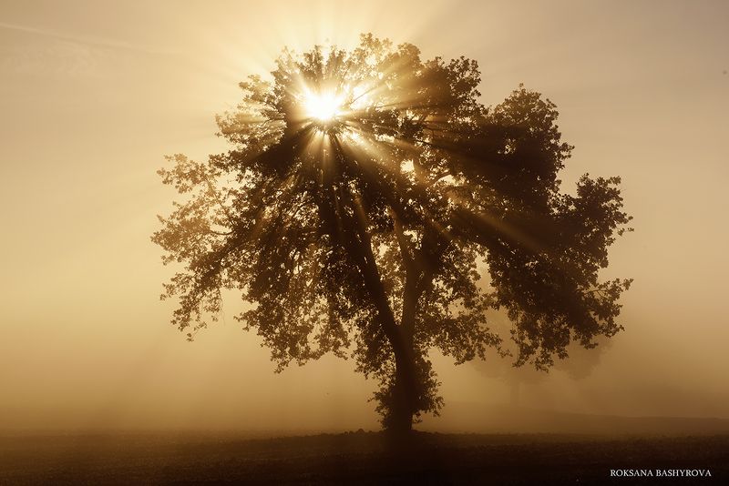 Tuscany sunrisephoto preview