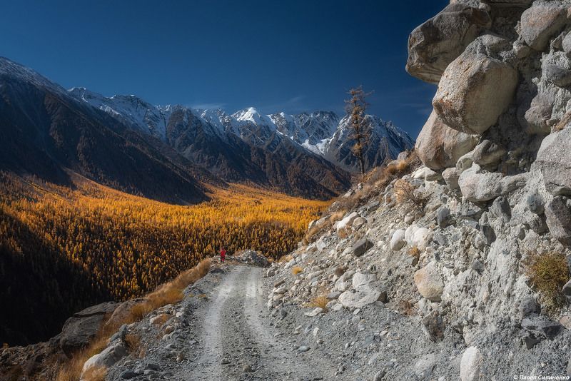 пейзаж, осень, скалы, свет, солнце, желтый, алтай, горы Шенелю фото превью