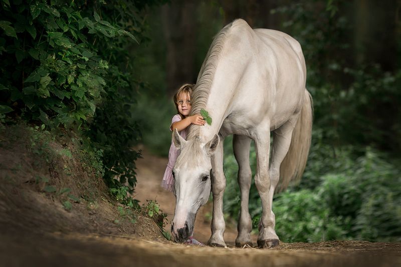 девочка, лошадь, лето, дети, животные, прогулка Моя лошадка.photo preview