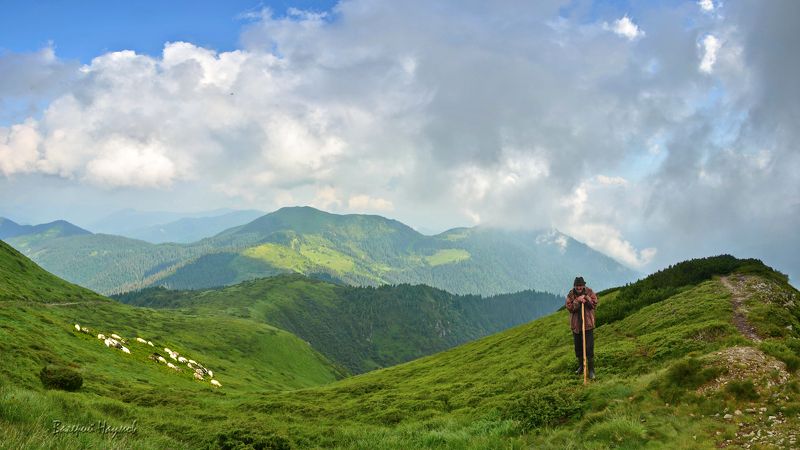 карпаты, горы, мармароссы, овцы, небо, облака, пастух Вівчар Іванphoto preview