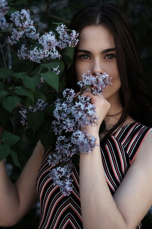 Сиреньphoto preview