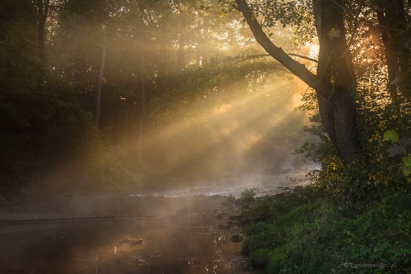 golden riverphoto preview