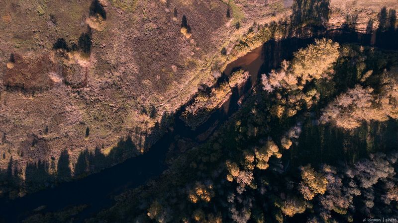 Осенние светотениphoto preview