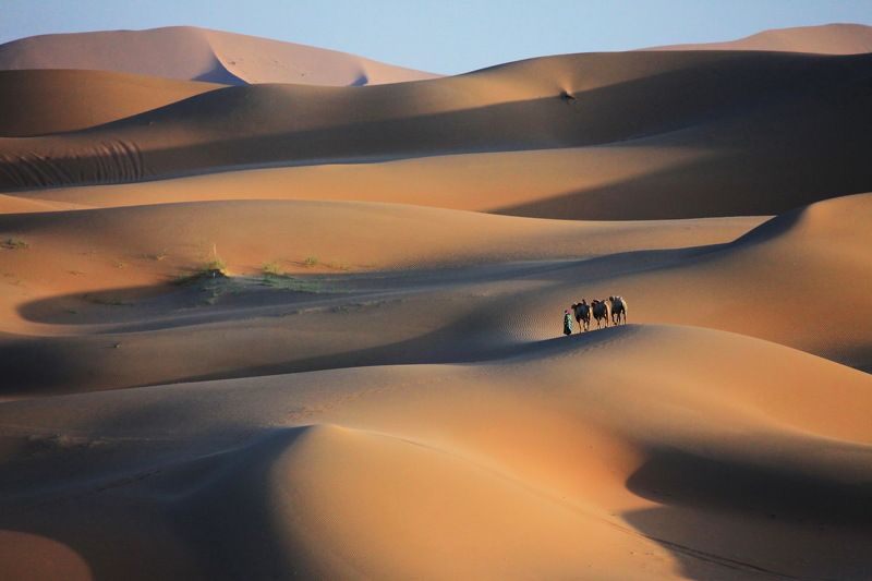 Sand  dunephoto preview