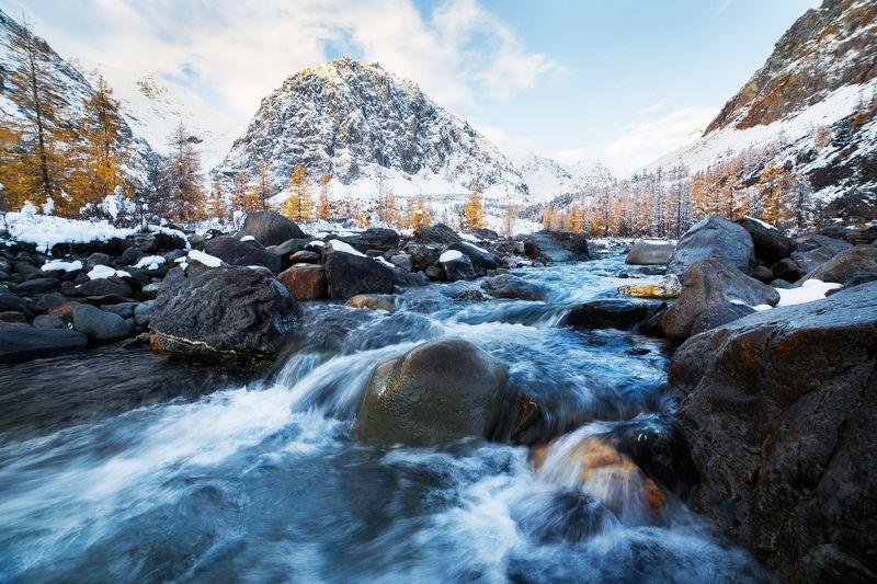 Алтай, пейзаж, Россия Долина Актру. Алтай фото превью