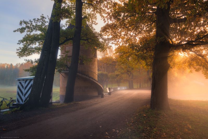 Павловск, осень, листья, цвет, краски, туман, солнце, рассвет, путешествия, река, башня, сказка, деревья, мост, дорога, road, trees, park, forest, sun, sunrise, fog, travel, alone, bridge, sky, wind, explore, outdoor, tower Раннее утроphoto preview