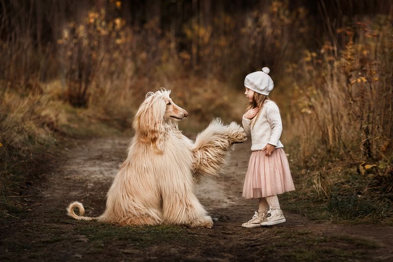девочка, собака, лето, дети, животные, прогулка, осень Привет! Меня зовут Хоган!photo preview