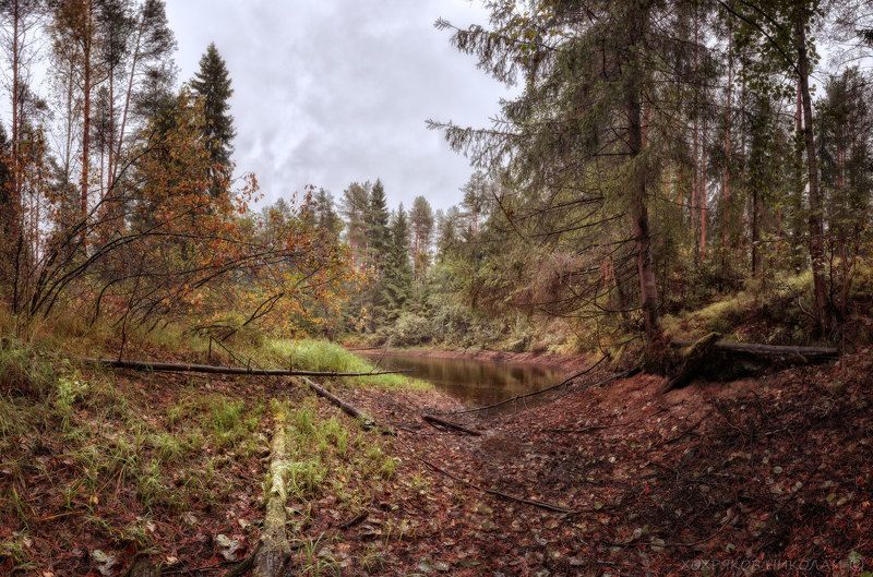 берега дождливые...photo preview