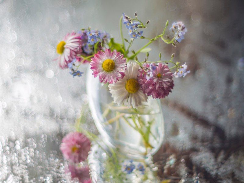 дачное  -2photo preview