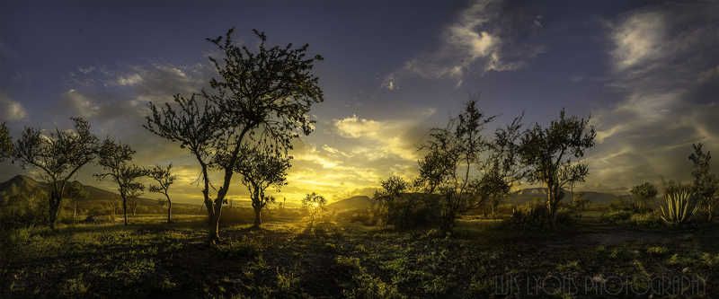 Golden Light Valleyphoto preview