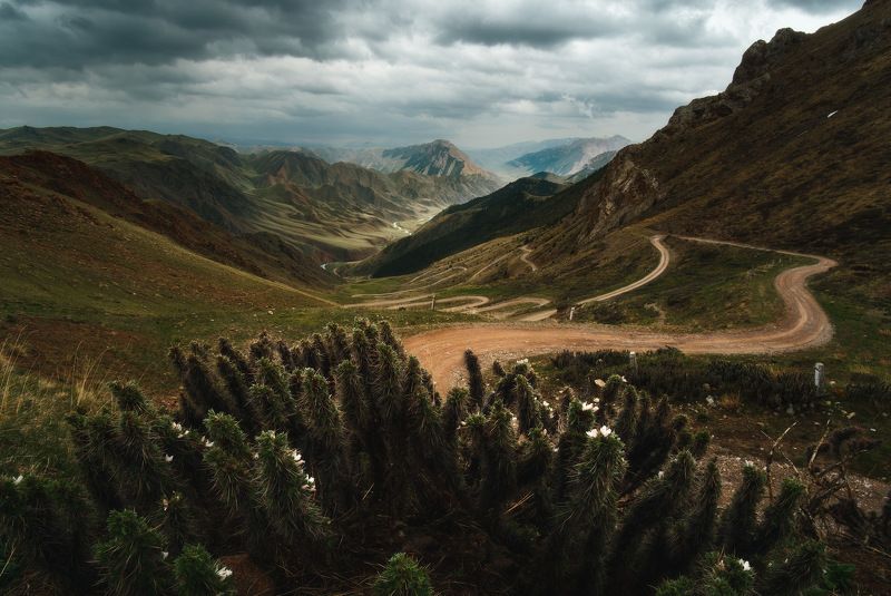 киргизия, кыргызстан, средняя азия, горы, каньон, скалы, пейзаж, лето, ущелье, дорога, утро, серпантин, перевал Путеводная нитьphoto preview