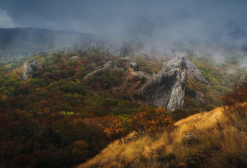 крым, осень, осень в крыму, крымские горы, горы, туман, октябрь, ноябрь, россия, путешествия, золотая осень, туризм, золотая осень в крыму Магия осени в горах Крымаphoto preview