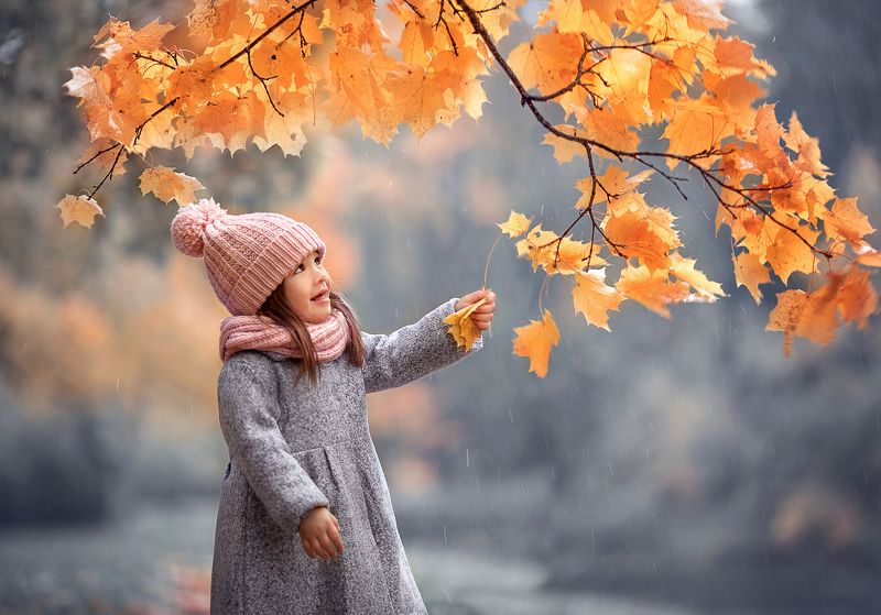 Осеньphoto preview