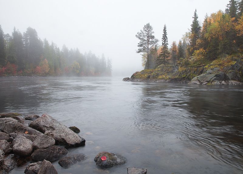 карелия, национальный паанаярви. Осени туманное течение.photo preview