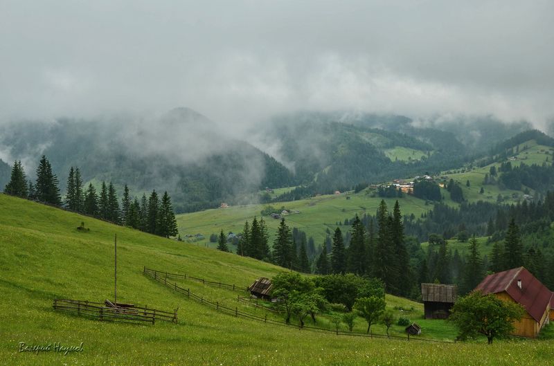 карпаты, горы, туман, червона рута Про туманы и червону рутуphoto preview