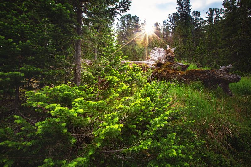 закатphoto preview