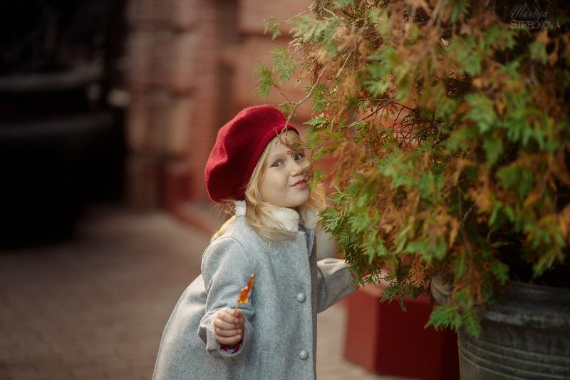 Баловницаphoto preview