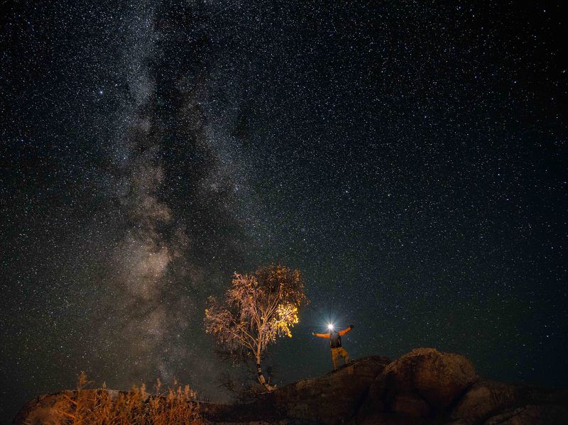 #landscape, #stars, #milkyway, #sky, #starlightnight, #starlight, #night, #man, #tree, #autumn, #russia, #altaikrai, #altai, #пейзаж, #звёзды, #млечныйпуть, #небо, #звёздныйсвет, #звёздноенебо, #ночь, #человек, #дерево, #осень, #россия, #алтайскийкрай, #а Искрыphoto preview