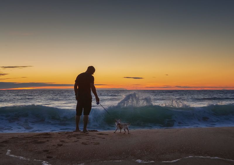 travel, bay, biscay, sunset, pets, sun, water, waves, colors Biscay. Sunset. Travel.photo preview