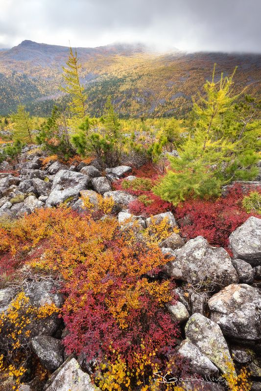 Урал, Северный Урал, Конжак, Серебрянский камень Риф Северного Уралаphoto preview