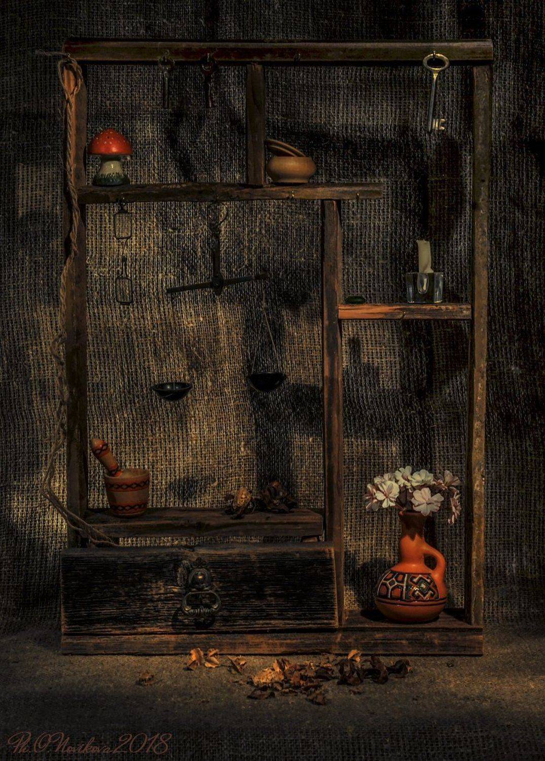 , Ольга Новикова