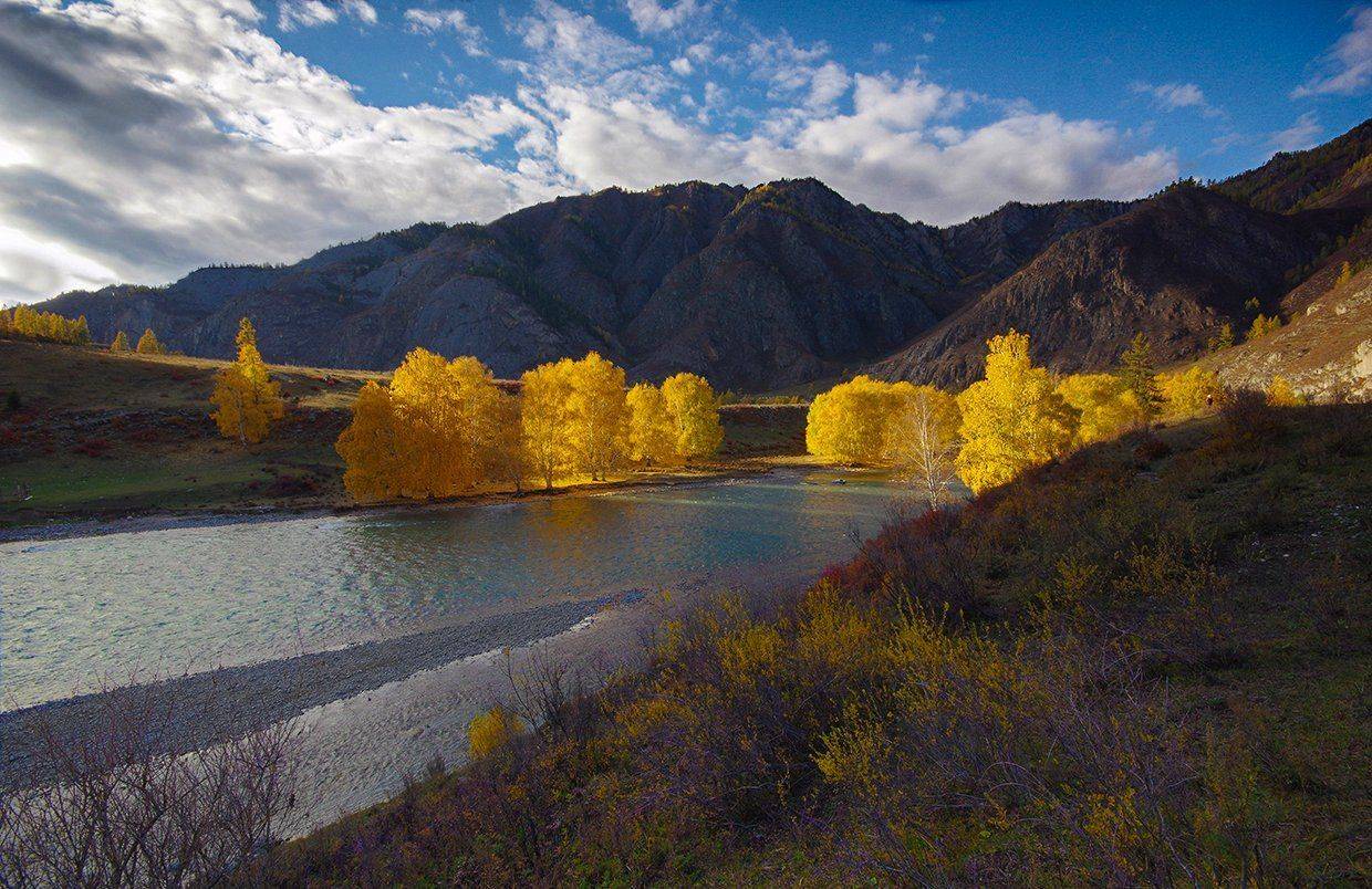Осенним вечером. Автор: Валерий Чичкин горы, осень, деревья, река, вода, чуя, чуйский, тракт, вечер, свет, желтые, Валерий Чичкин
