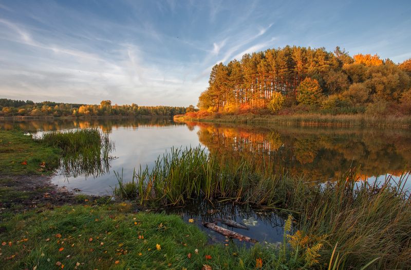 минск, беларусь, осень, криница Осенний вечер на Криницеphoto preview