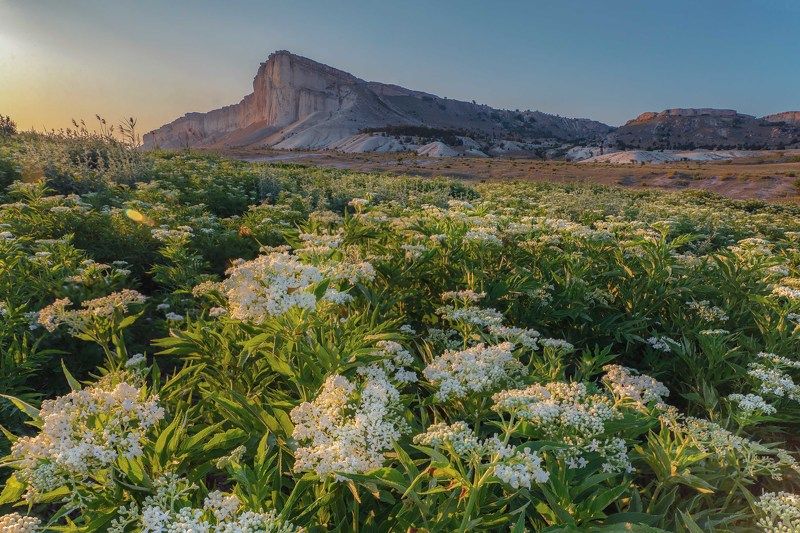 пейзаж Воспоминания о летеphoto preview