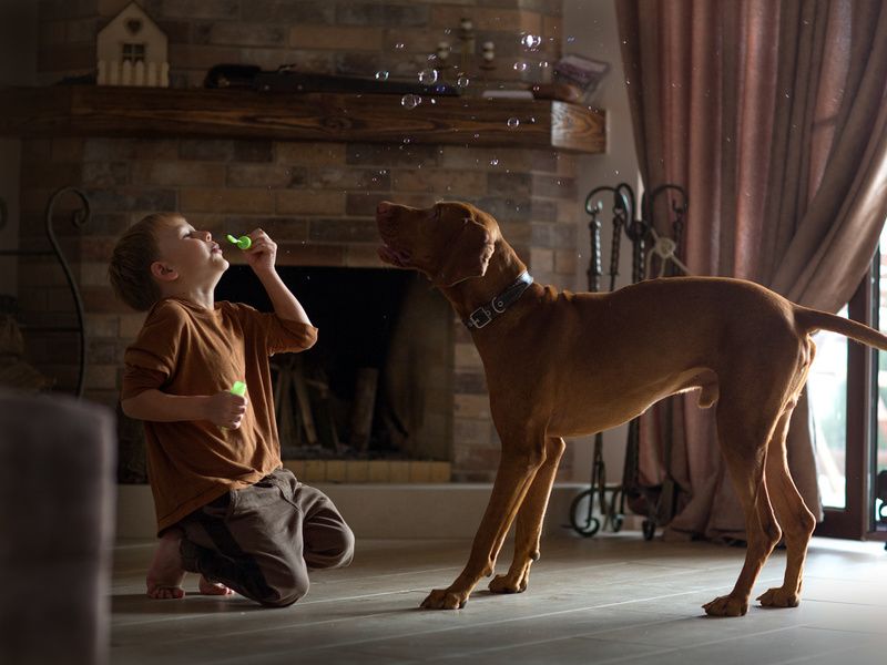 *** фото превью