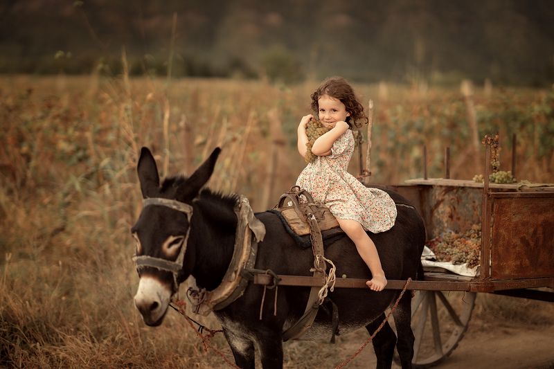 Сбор урожаяphoto preview