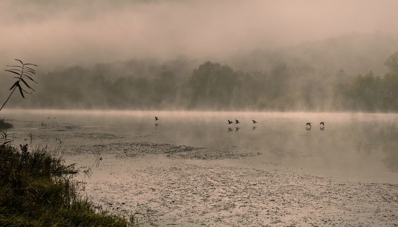 Скоро зима ...photo preview