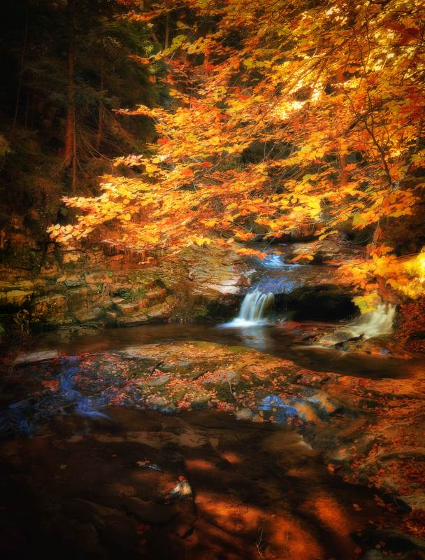 Favorite seasonphoto preview