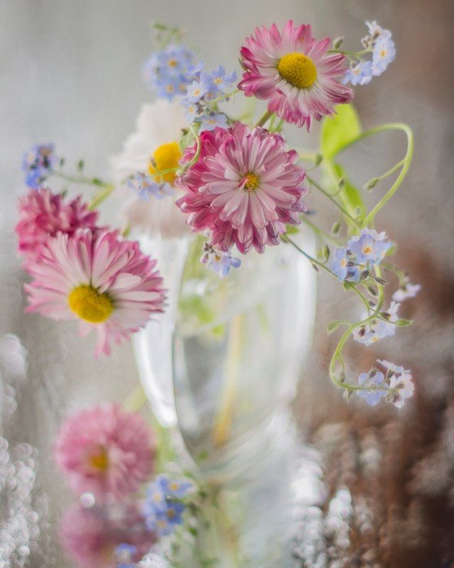 дачноеphoto preview