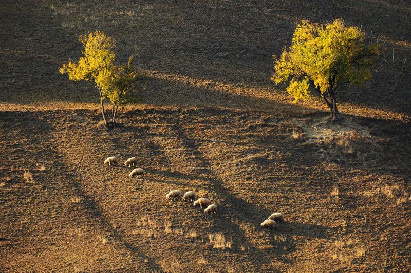 Autumn 2018photo preview