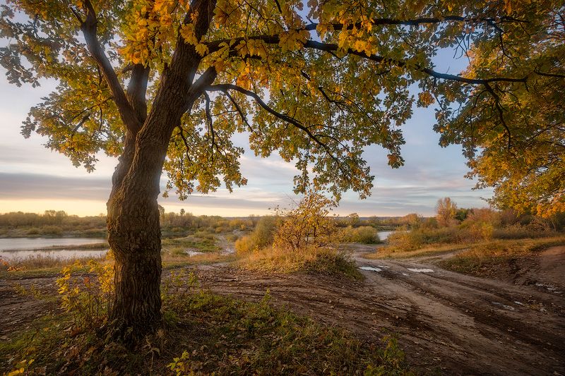 природа утро осень С осенним настроениемphoto preview