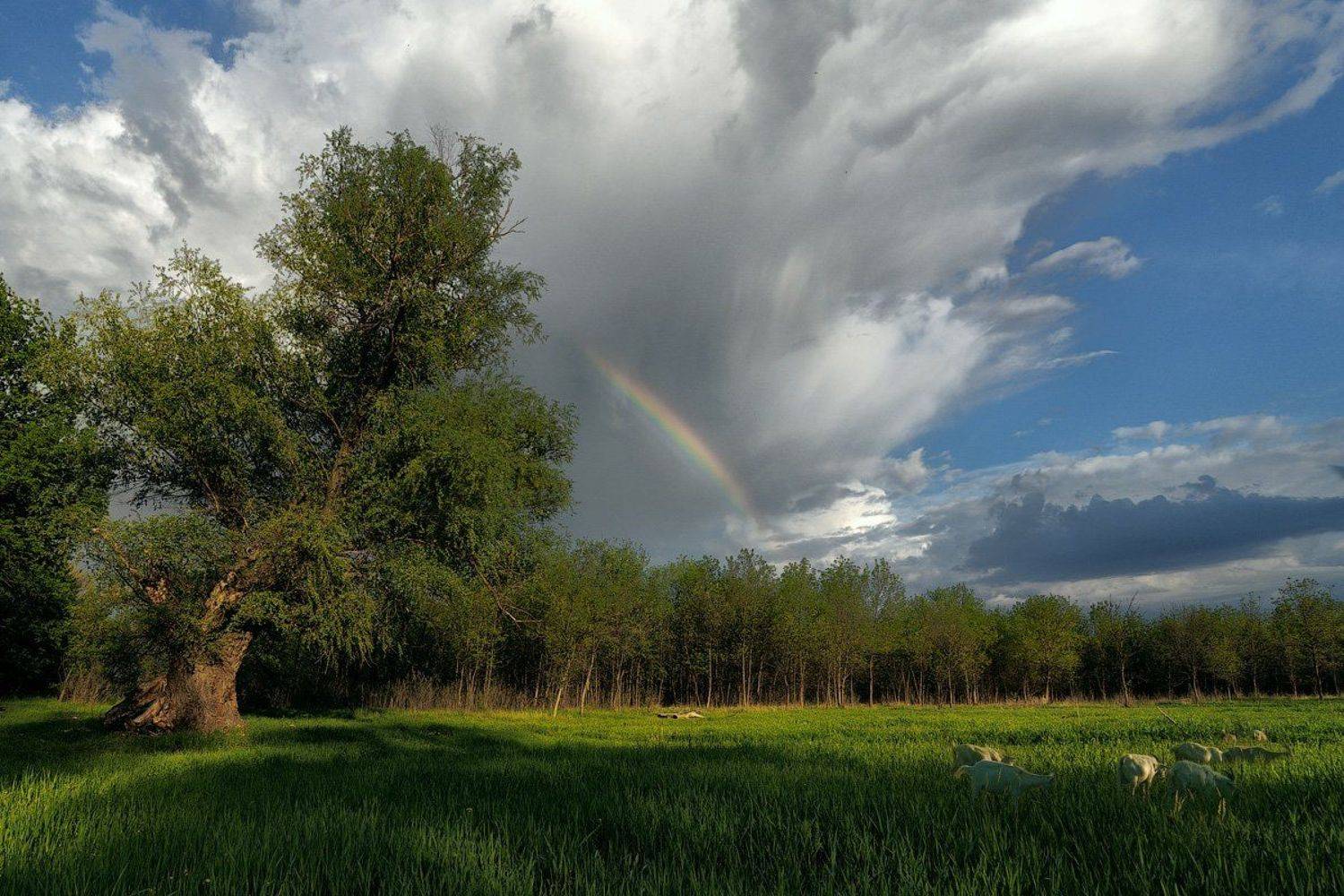 , Сергей Иванов