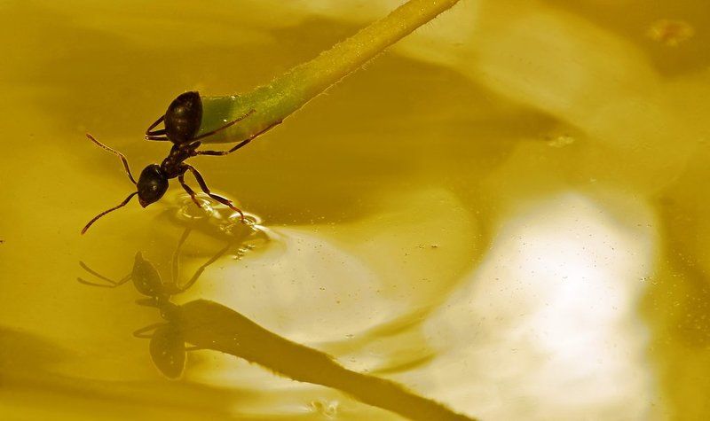 А водичка еще теплая!photo preview