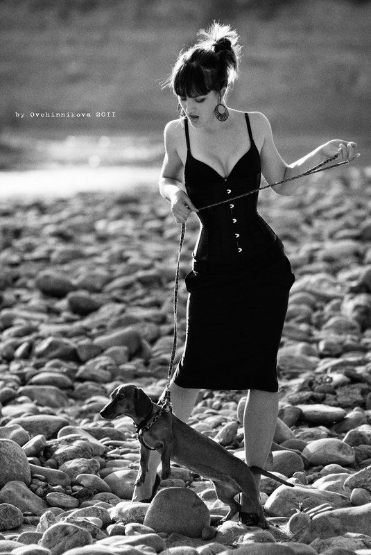 портрет, собака, такса, фотосессия, девушка, гламур, черно-белое, природа Mery and Loraphoto preview